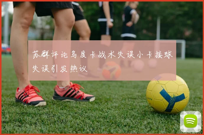 苏群评论乌度卡战术失误小卡接球失误引发热议